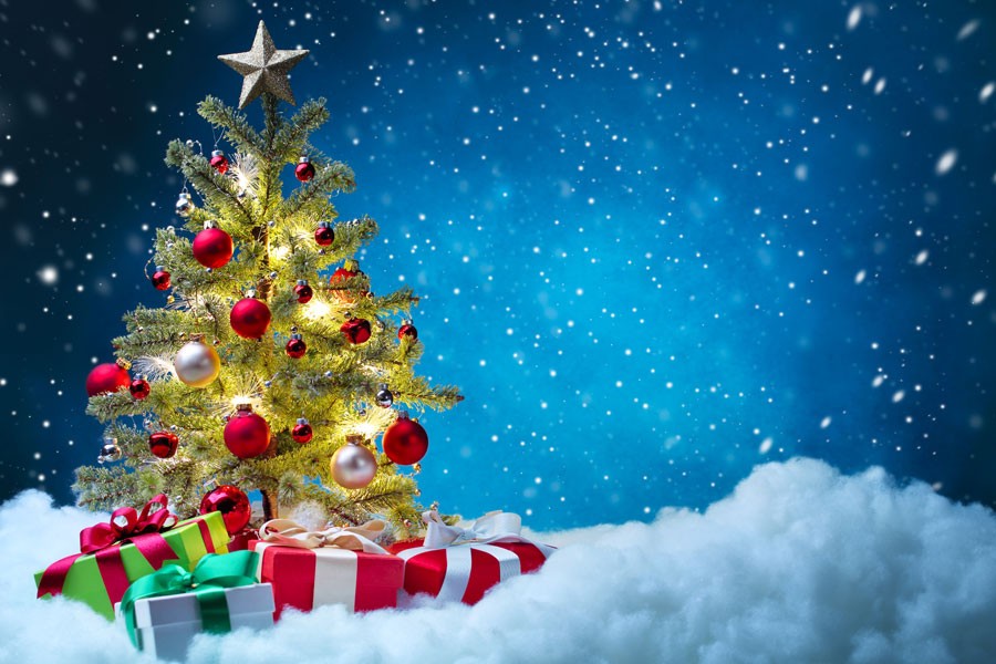 Different Types Of Christmas Trees In Your Home