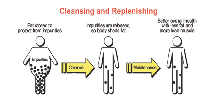 Important Tips on How to Cleanse Your Body