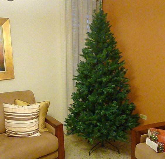 Pre Lit Point Pine Tree 7 Feet Pre Lit Point Pine Tree 7 Feet