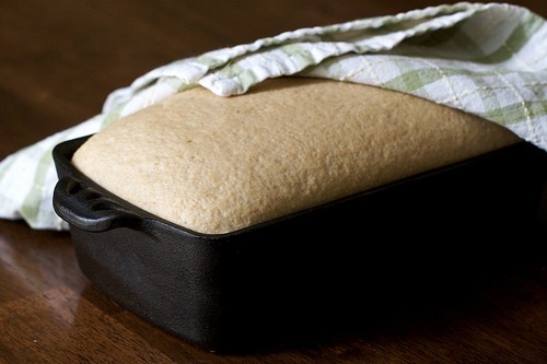 Baking some 100% Whole Grain Bread by Chiot's Run Whole-grain Bread photo