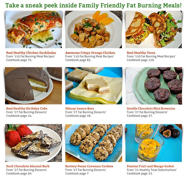 Review Family Friendly Fat Burning Meals (Healthy Meal Recipes)
