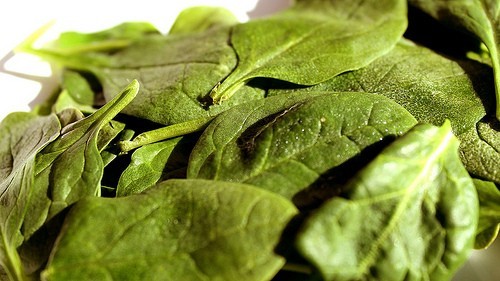 Spinach by DeSegura89 Spinach