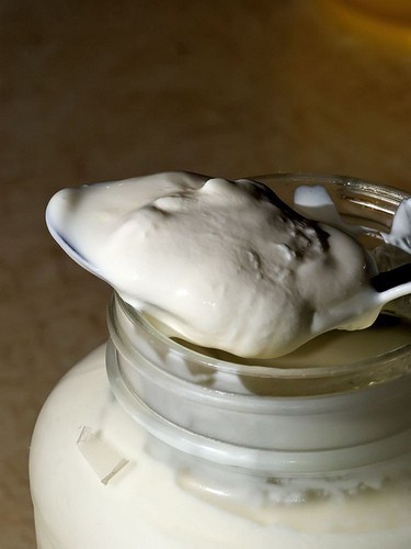 Yogurt 364 by ljguitar Whole Milk